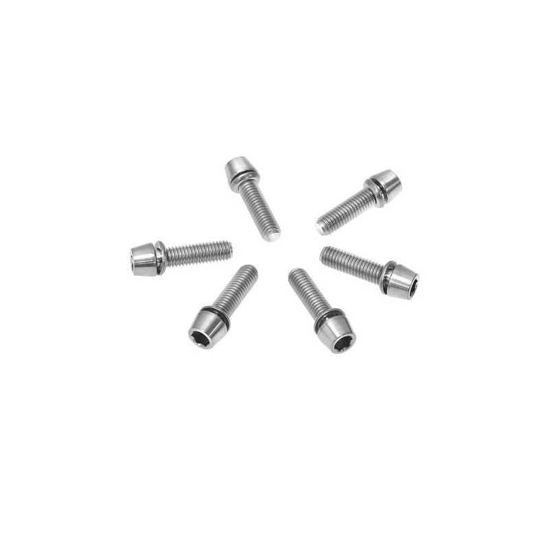 stuurpen vervangingsbouten staal M5x16 / M5x14 Ritchey
