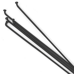 Spaken DT-Swiss Champion 2.0 zwart - 18st - incl.Nippels