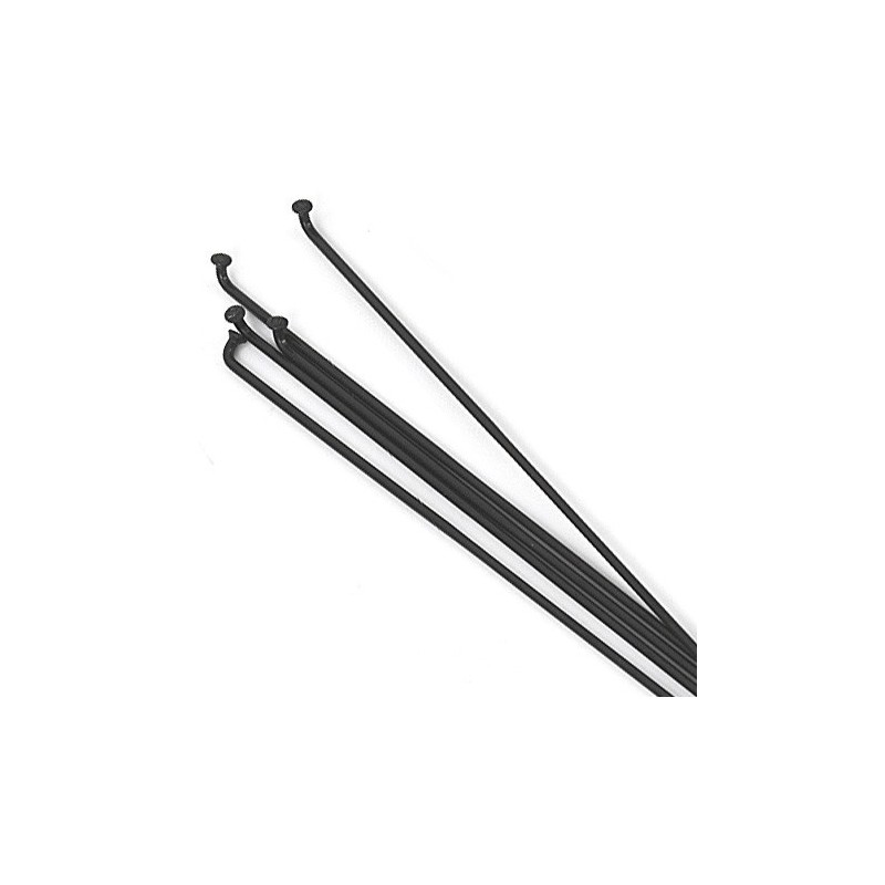 Spaken DT-Swiss Champion 2.0 zwart - 18st - incl.Nippels
