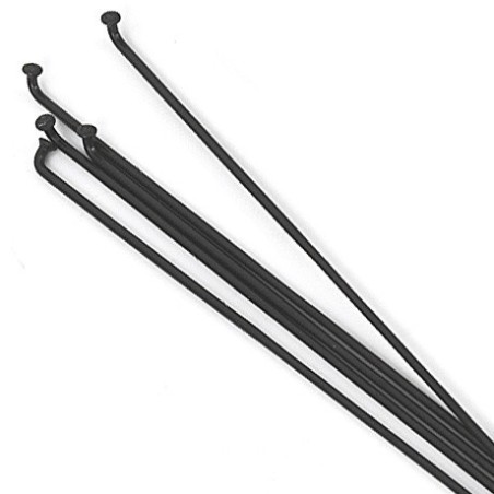 Spaken DT-Swiss Champion 2.0 zwart - 18st - incl.Nippels