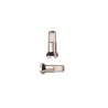 spaaknippel 2.34 mm x 14.5 mm, voor spaak 13, vernikkeld messing, DT-Swiss